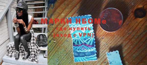 прущие грибы Алзамай