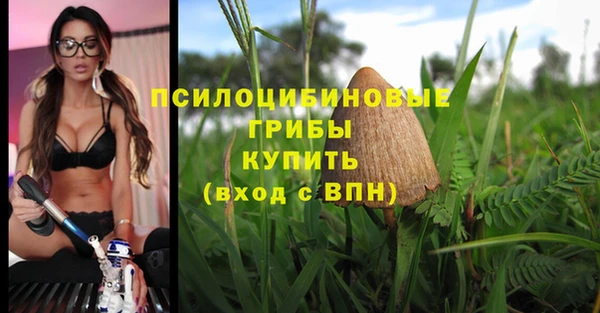метадон Алексин