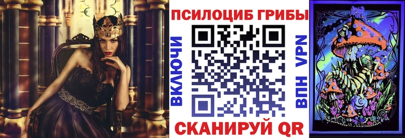 купить наркоту  ссылка на мегу как войти  Псилоцибиновые грибы GOLDEN TEACHER  Бирюч 